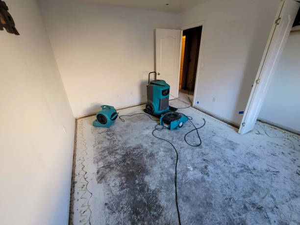 Best Sewage cleanup and water damage restoration  in El Monte, CA