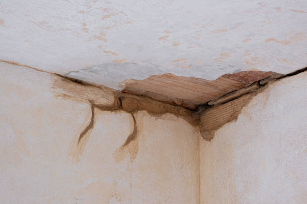 Best Water damage restoration near me  in El Monte, CA