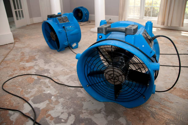 Best Residential water damage restoration  in El Monte, CA