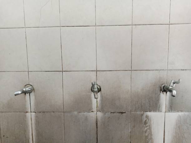 Best Flood damage cleanup  in El Monte, CA