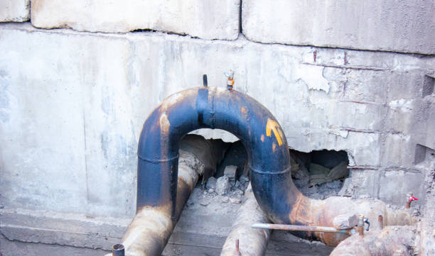 Best Local water damage restoration  in El Monte, CA