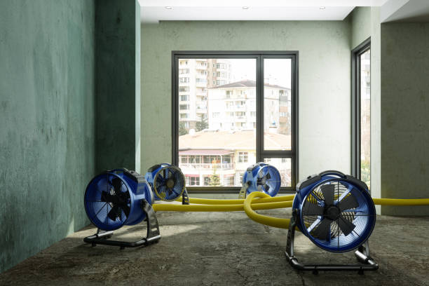Best Water damage cleanup near me  in El Monte, CA